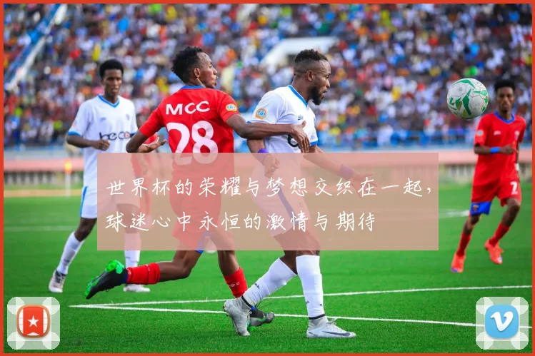 世界杯的荣耀与梦想交织在一起，球迷心中永恒的激情与期待