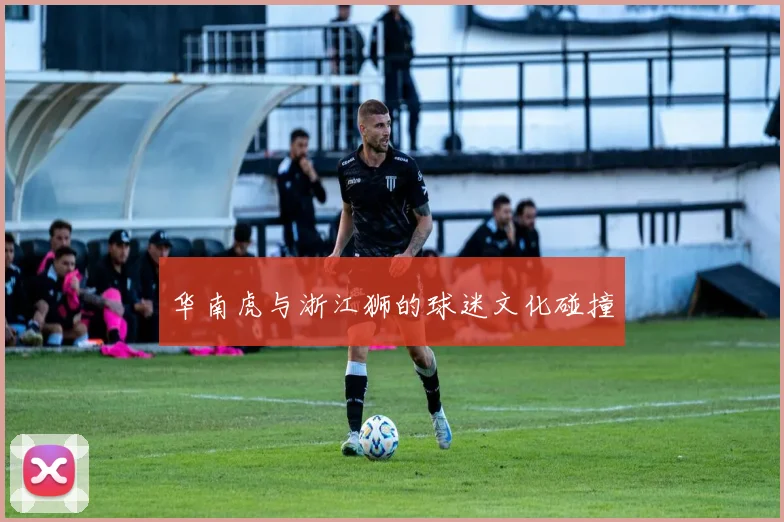 华南虎与浙江狮的球迷文化碰撞