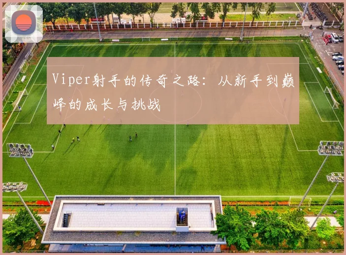 Viper射手的传奇之路：从新手到巅峰的成长与挑战